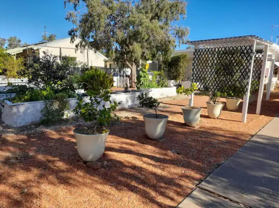 Lavender Cottage - At Home In Lightning Ridge Exterior foto